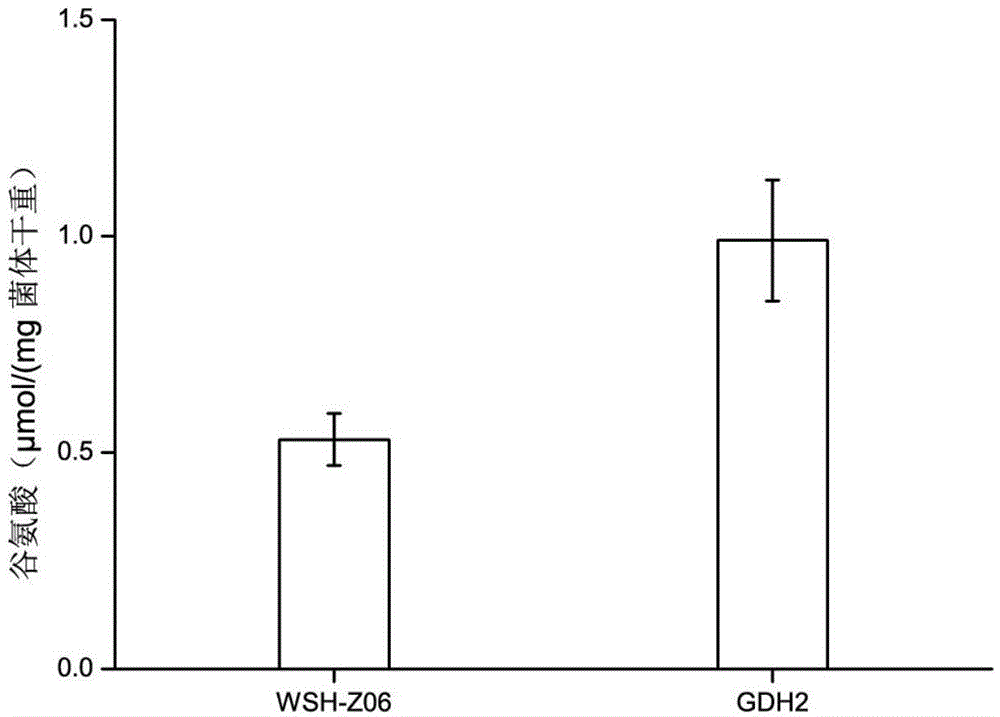 Method for synthesizing alpha-ketoglutaric acid by reinforcing Yarrowia lipolytica