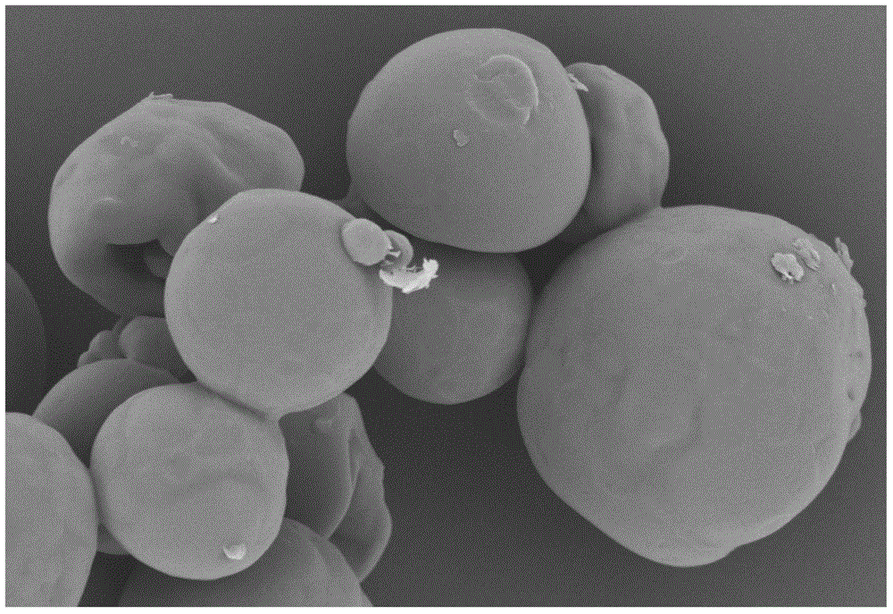 Zuogui pill nanoparticle drug delivery system and preparation method thereof