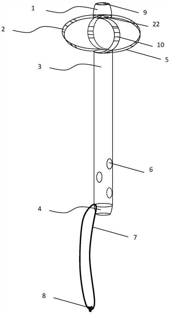 Displacement-proof and easy-to-recover biliary support tube and implantation device