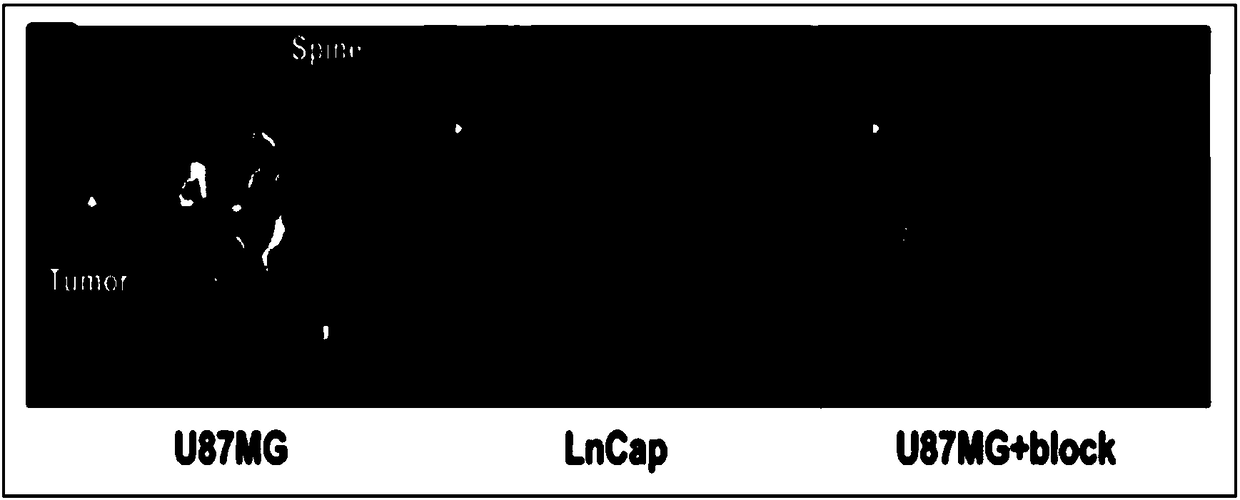 A radioactive c-met targeting affinity small molecule compound and its application