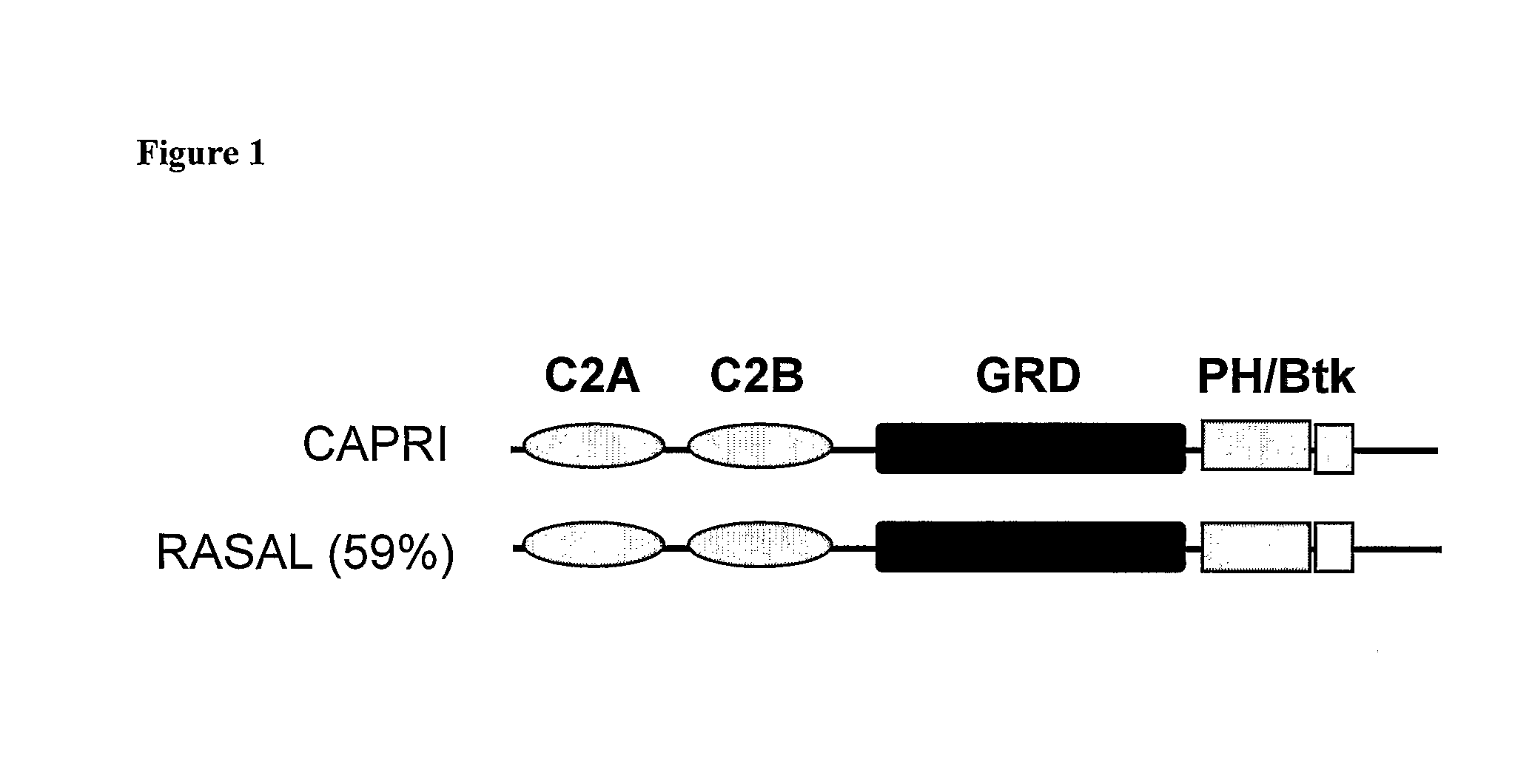 Methods For Detecting Calcium Ion Influx