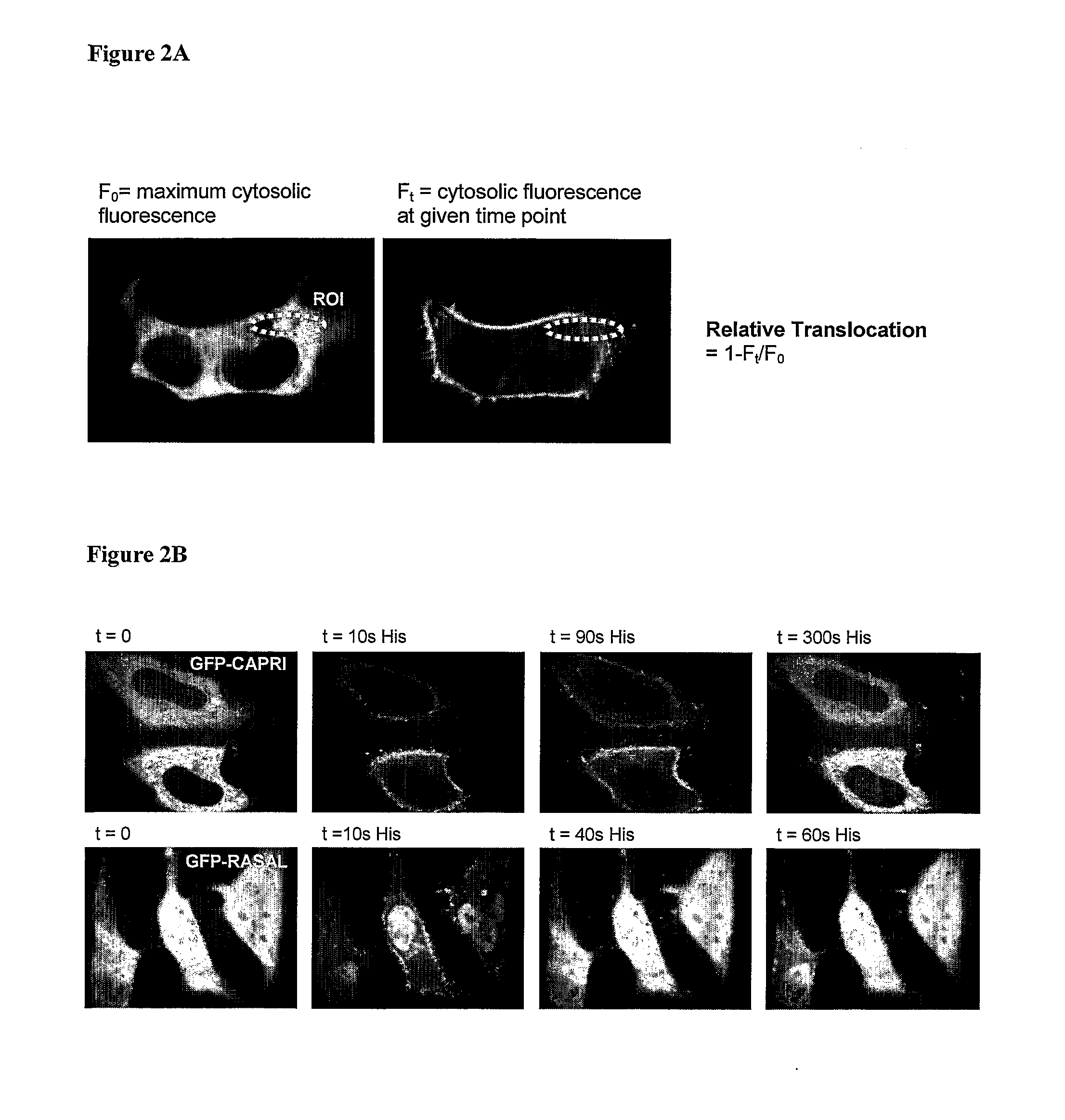 Methods For Detecting Calcium Ion Influx