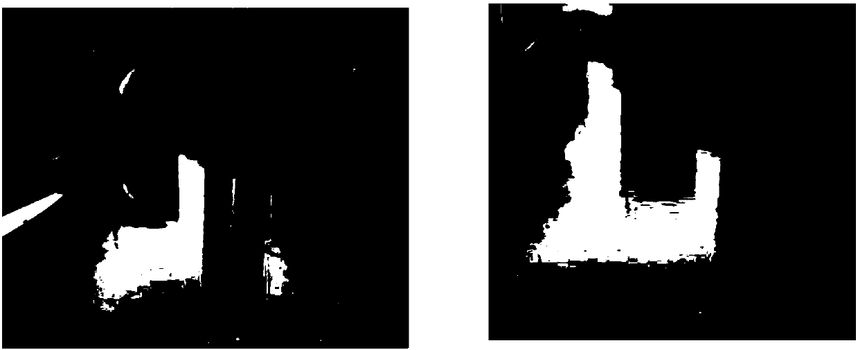 Mixed strain capable of continuously degrading fecal coliform in black and odorous river water, strain carrier and method