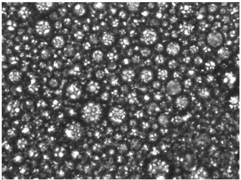 A reversible emulsion capable of controlling phase transition by salinity, its preparation method and phase transition method