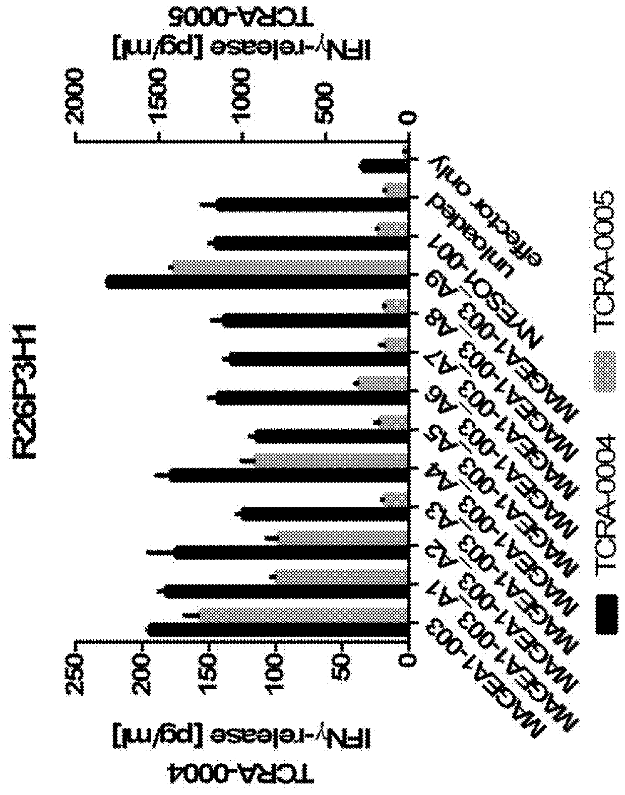 Novel t cell receptors and immune therapy using the same