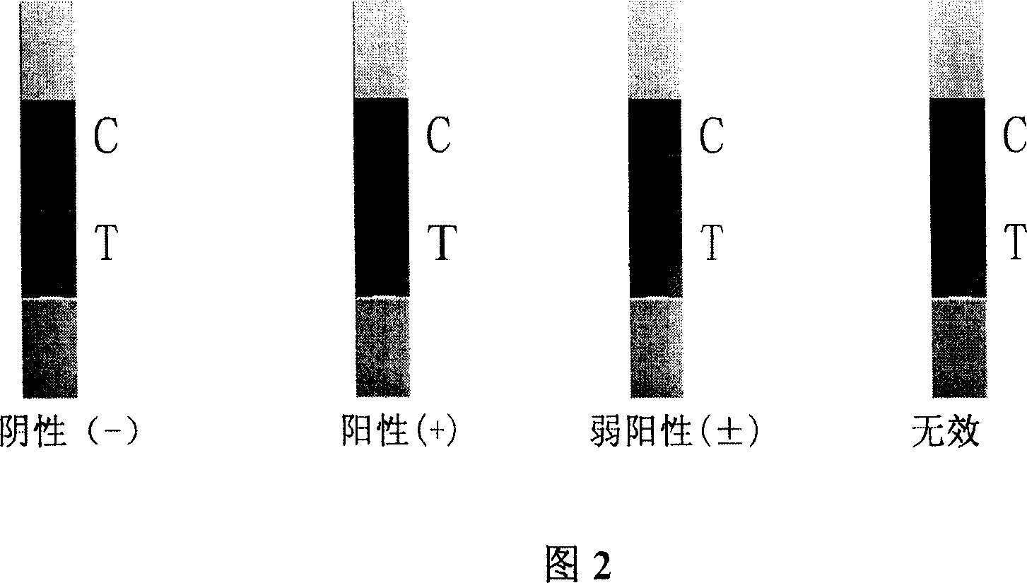 Method for preparing antibody for detecting clenbuterol