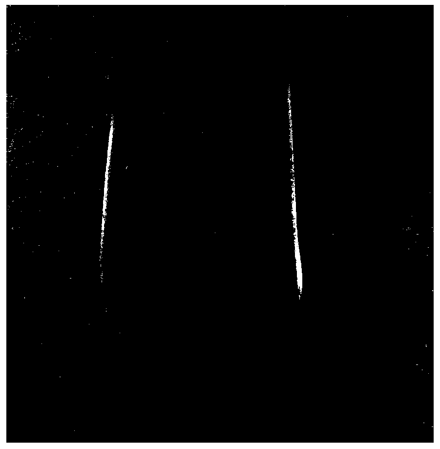 Mutagenesis method for tetraploid petunia