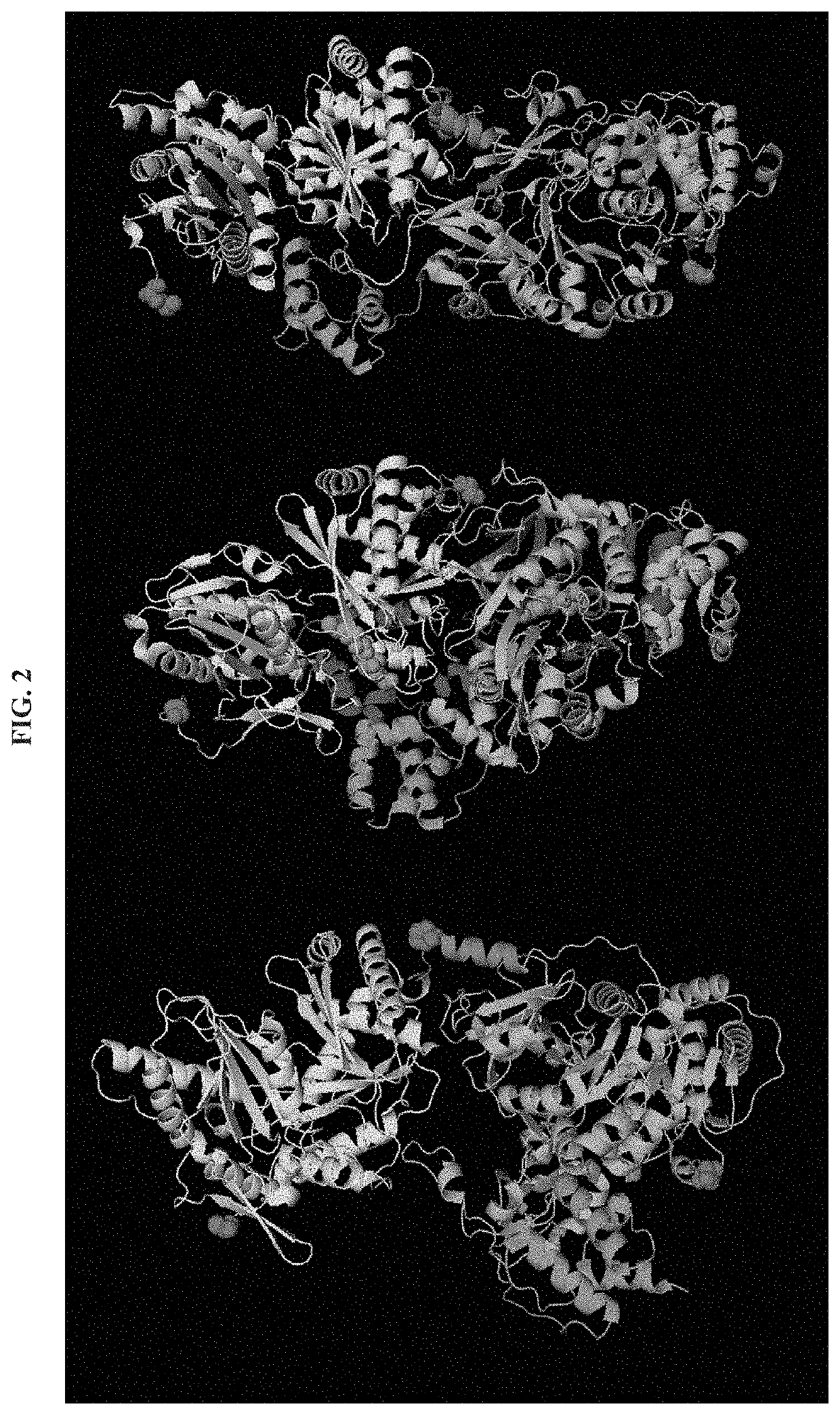 Artificial Ribosomes for Fully Programmable Synthesis of Nonribosomal Peptides