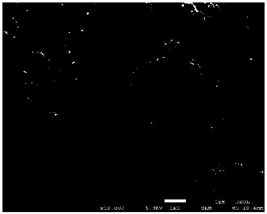 Sodium ion battery anode, preparation method thereof and sodium ion battery