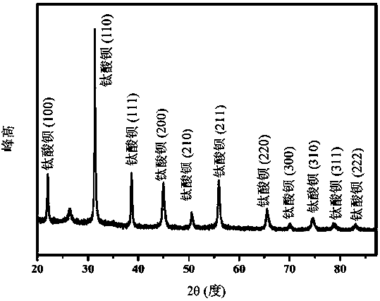 Sodium ion battery anode, preparation method thereof and sodium ion battery