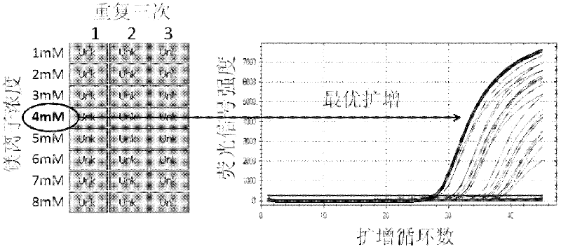 Target sequence, primer, probe and kit for detecting Mycoplasma pneumonia