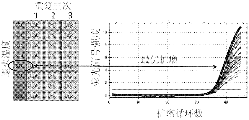 Target sequence, primer, probe and kit for detecting Mycoplasma pneumonia