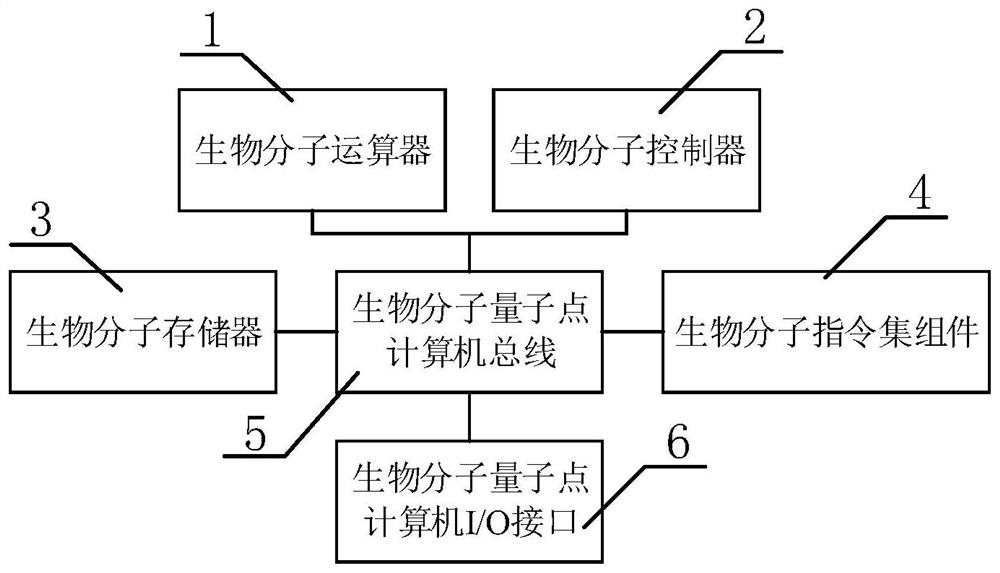 Biomolecule-based quantum dot computer system and control method thereof