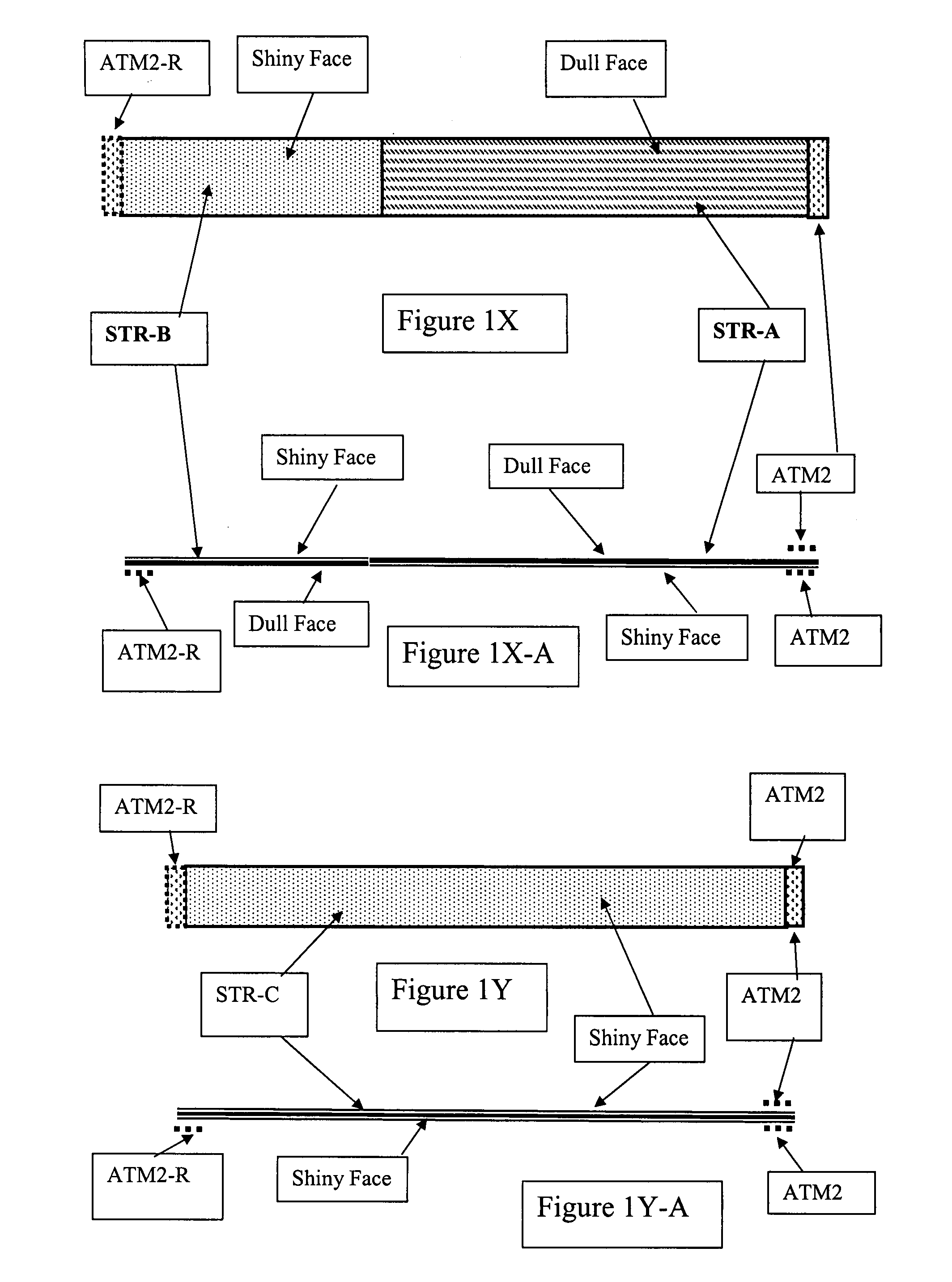 Daneshvar wrapping means II and methods