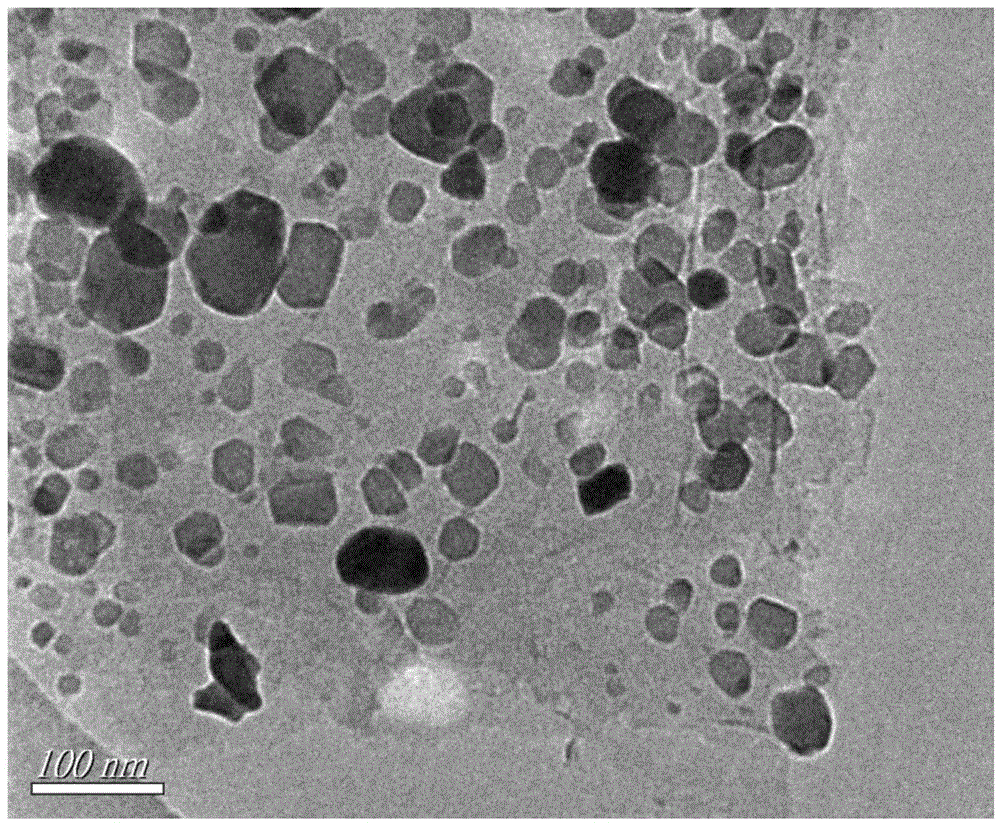 Preparation method and application of thia-graphene/gamma-Fe2O3 nano composite material