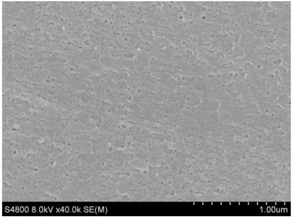 Porous polyacrylonitrile fibers and preparation method and application thereof