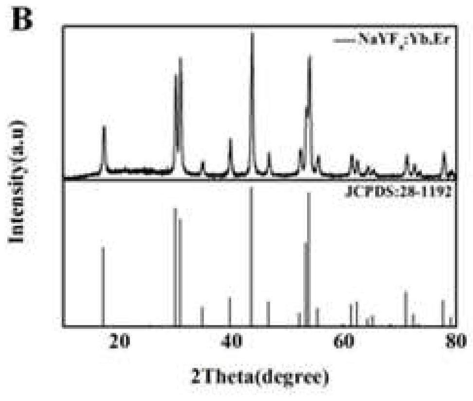 Energy resonance transfer technology based on upconversion fluorescence for detection of exosomes