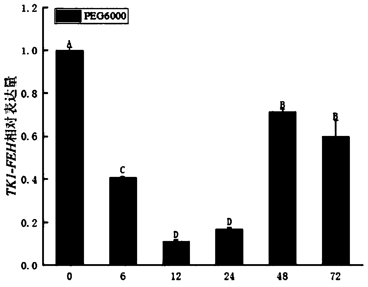 Taraxacum kok-saghyz inulin degrading enzyme gene Tk1-FEH and application thereof