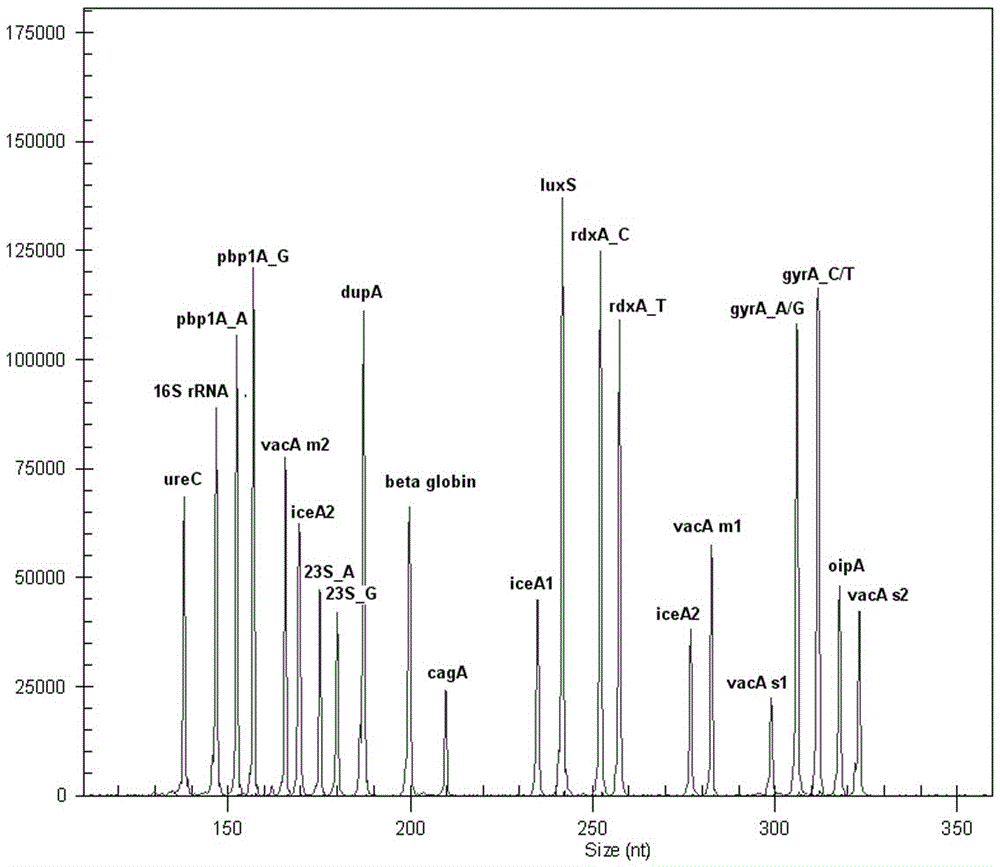 Helicobacter pylori identification and virulence multiplex gene detection system, kit adopting detection system and application of detection system