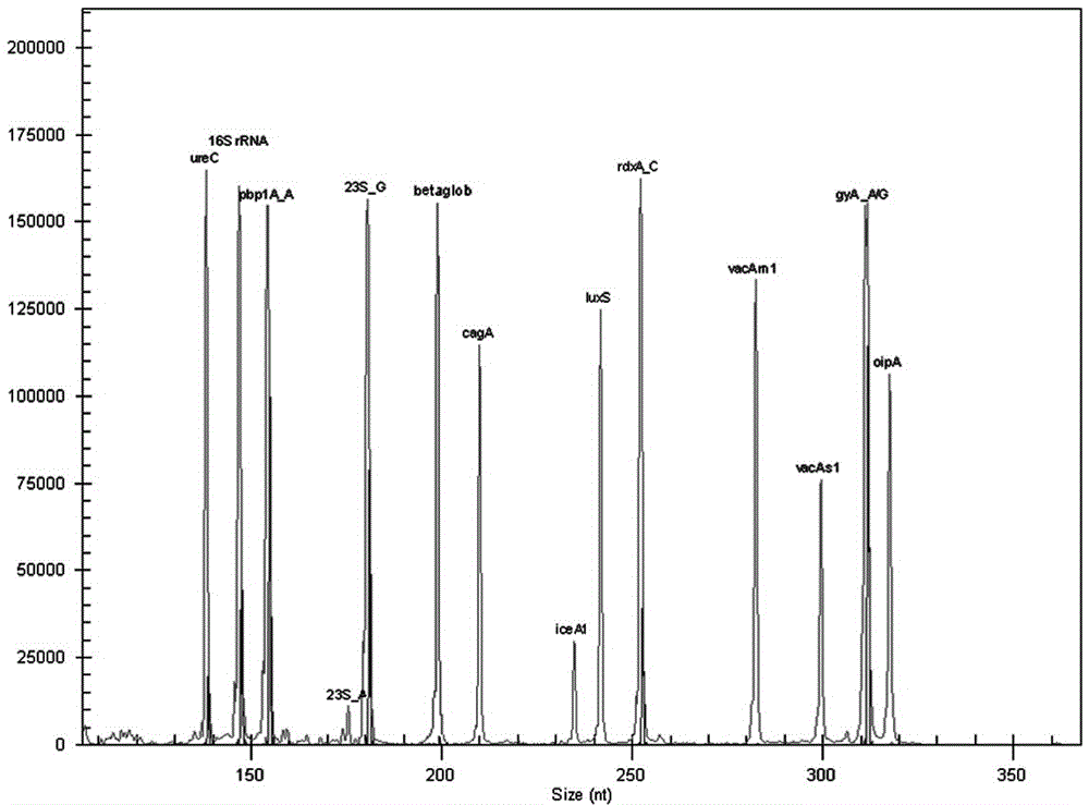 Helicobacter pylori identification and virulence multiplex gene detection system, kit adopting detection system and application of detection system