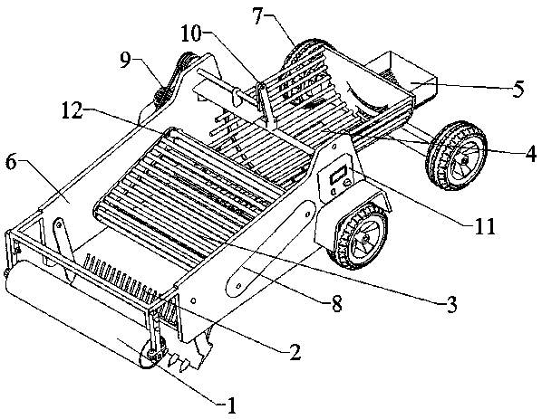 Harvesting-screening-integrated machine for potatoes