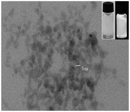 Method for synthesizing blue fluorescent copper nanocluster by utilizing 6-mercapto-beta cyclodextrin