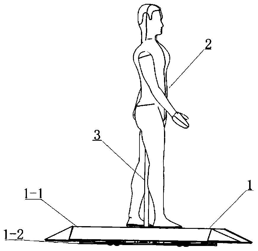 A test platform for pedestrian autonomous movement collision avoidance test