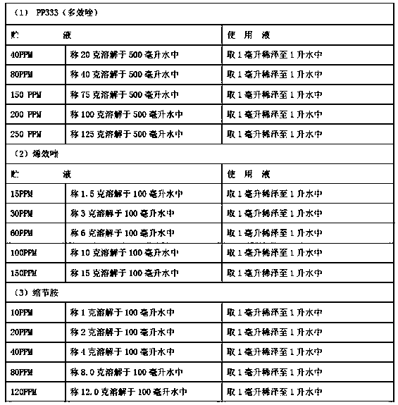 Aquatic canna dwarfing method