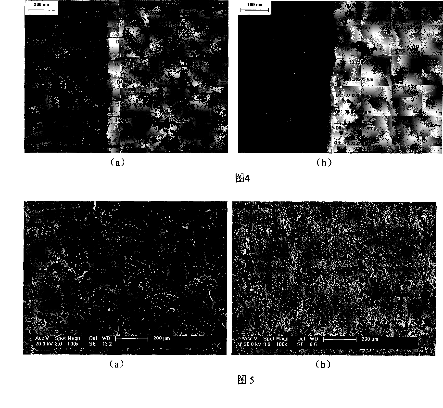 Cement-base material microorganism tectorial membrane protection agent, preparing method and application thereof