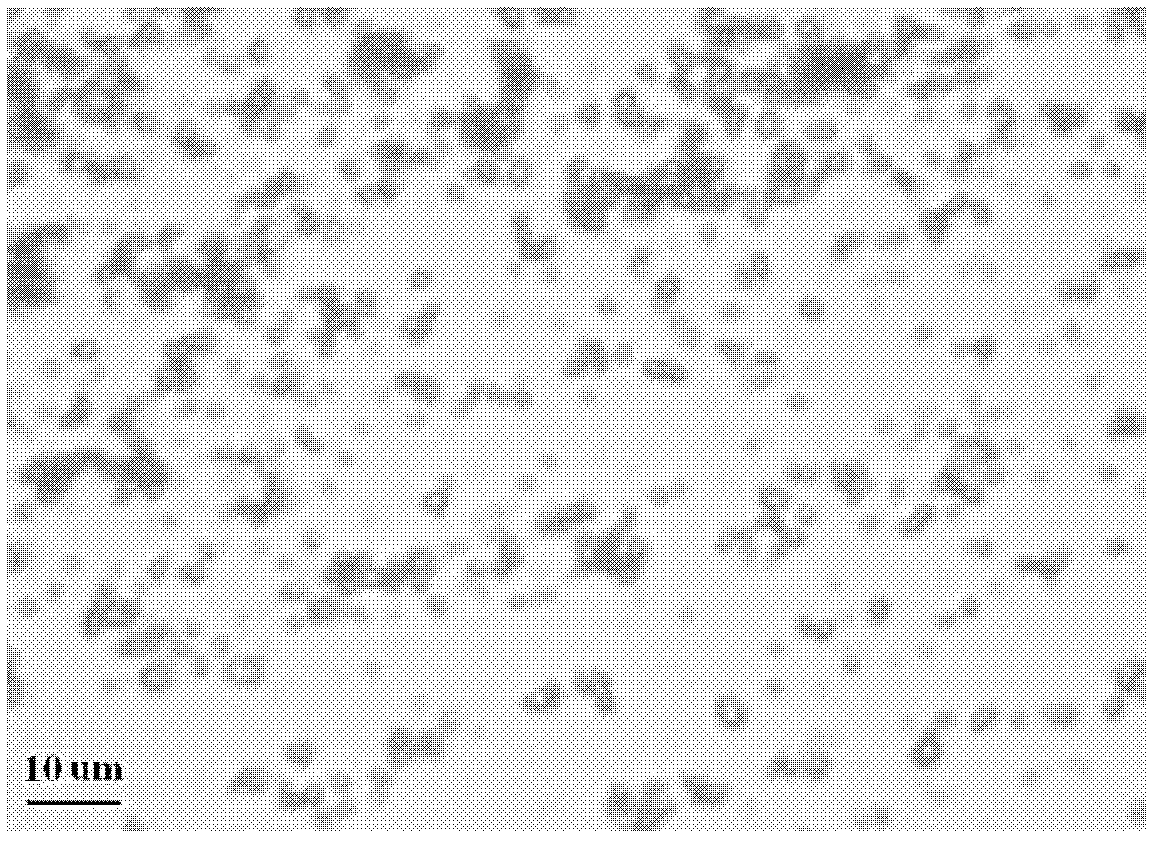 Tecovirimat dry suspension and preparation method thereof