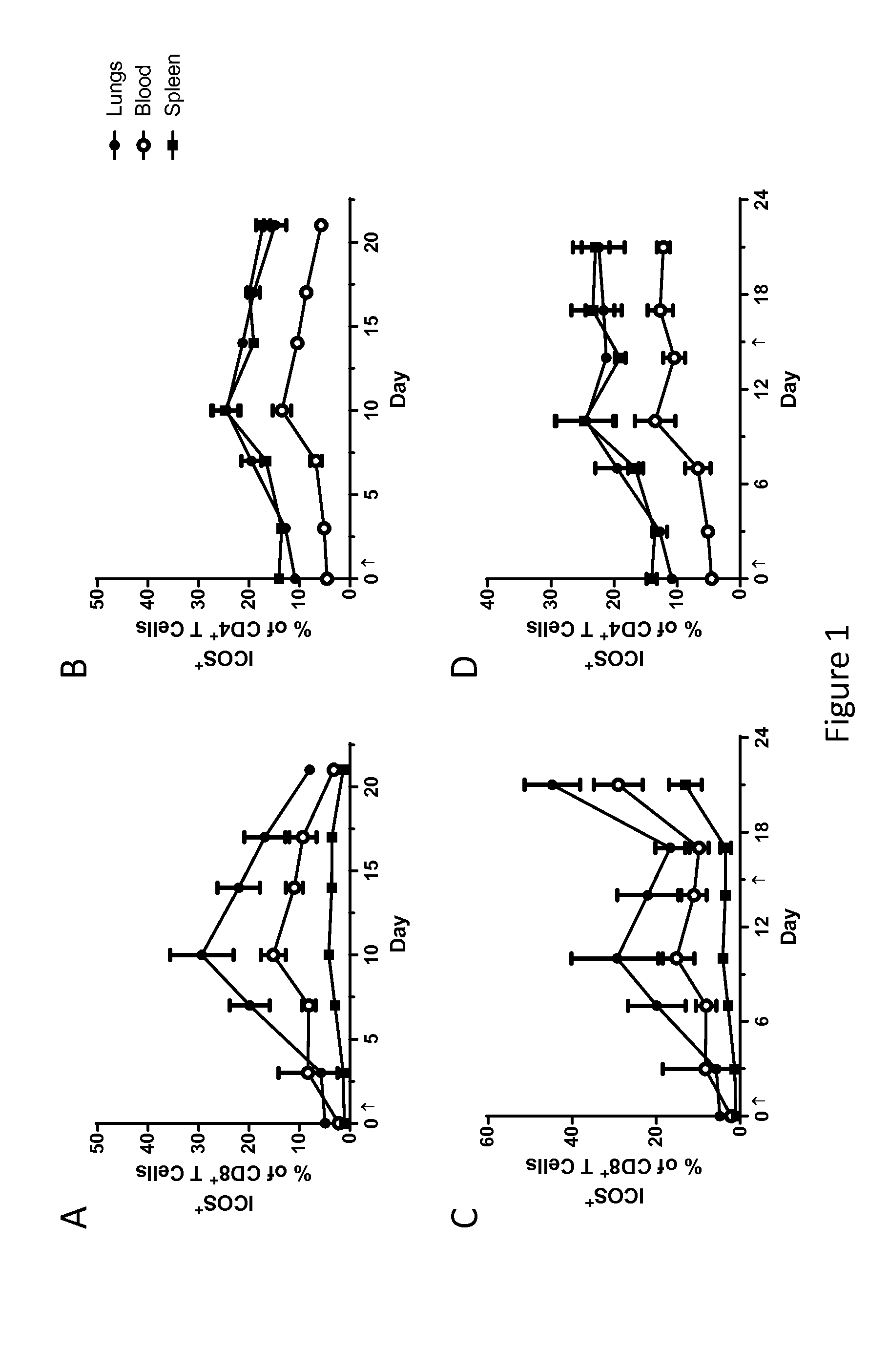 Combination Therapy for Treating Cancer with a Poxvirus Expressing a Tumor Antigen and an Antagonist and/or Agonist of an Immune Checkpoint Inhibitor