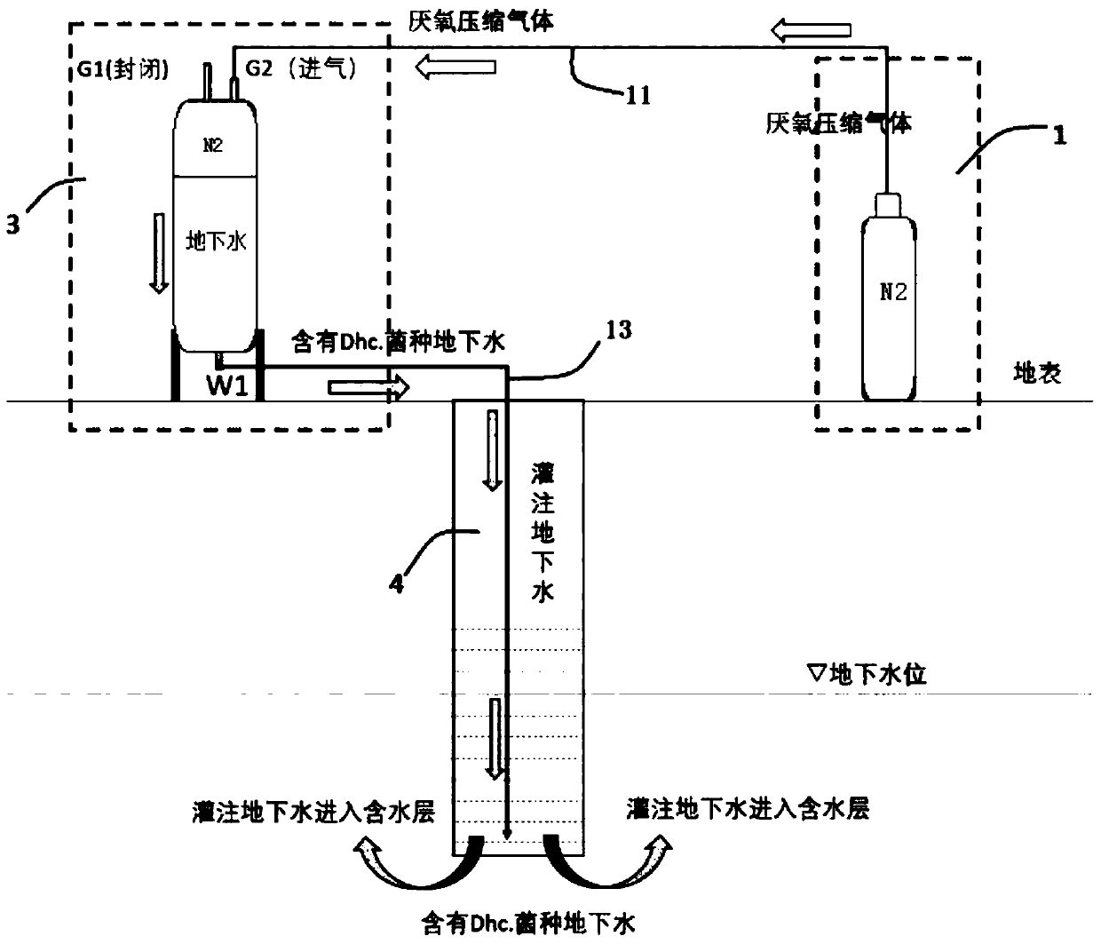 Anaerobic bacteria harvesting method, anaerobic bacteria harvesting device and storage device