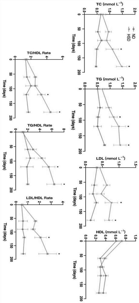 High-sugar diet induced early-stage dry age-related macular degeneration pigment rabbit model