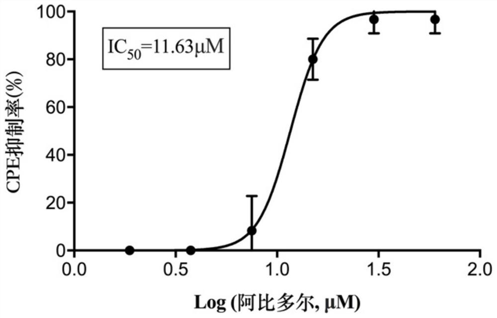 Application of arbidol in preparation of drug for prevention or treatment of diseases caused by SARS-CoV-2 virus