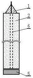 Candle convenient to use with insertion plate