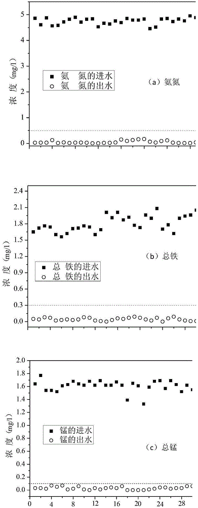 Method for synchronously removing high-concentration ammonia nitrogen, iron and manganese in water through reverse flow oxygenation multi-stage catalytic oxidation