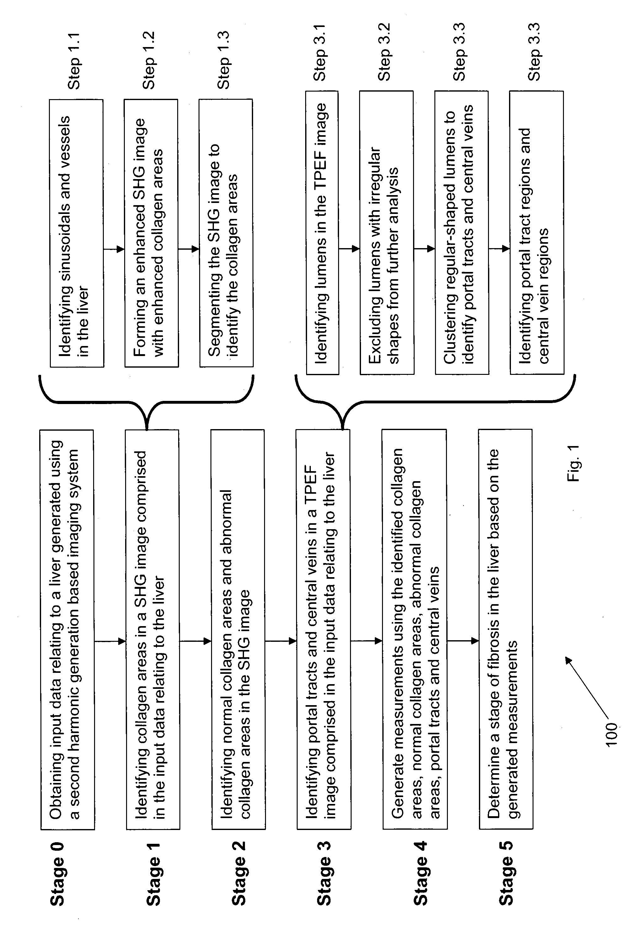 Method and system for determining a stage of fibrosis in a liver