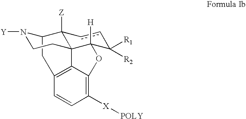 Polymer conjugates of opioid antagonists