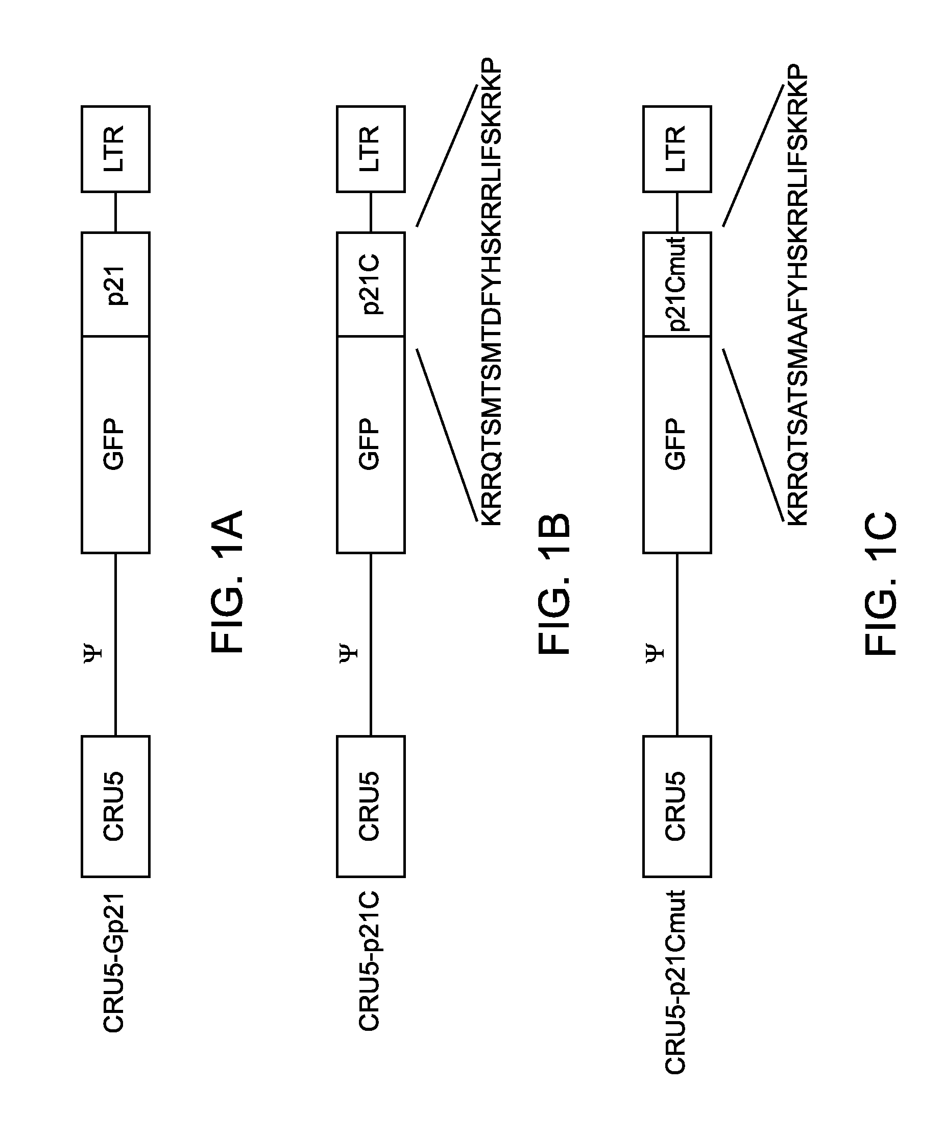 Multiparameter FACS Assays to Detect Alterations in Cellular Parameters and to Screen Small Molecule Libraries