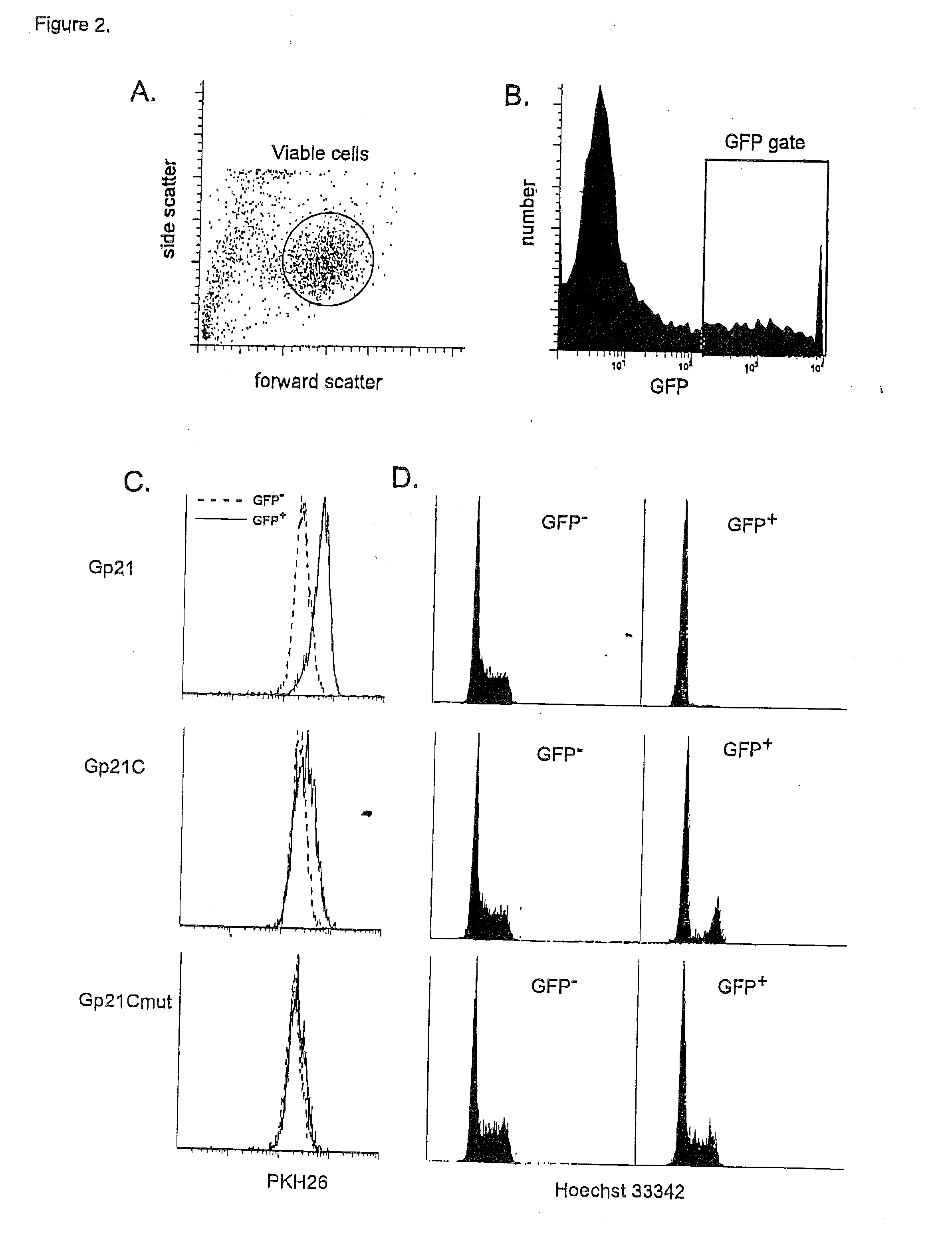 Multiparameter FACS Assays to Detect Alterations in Cellular Parameters and to Screen Small Molecule Libraries