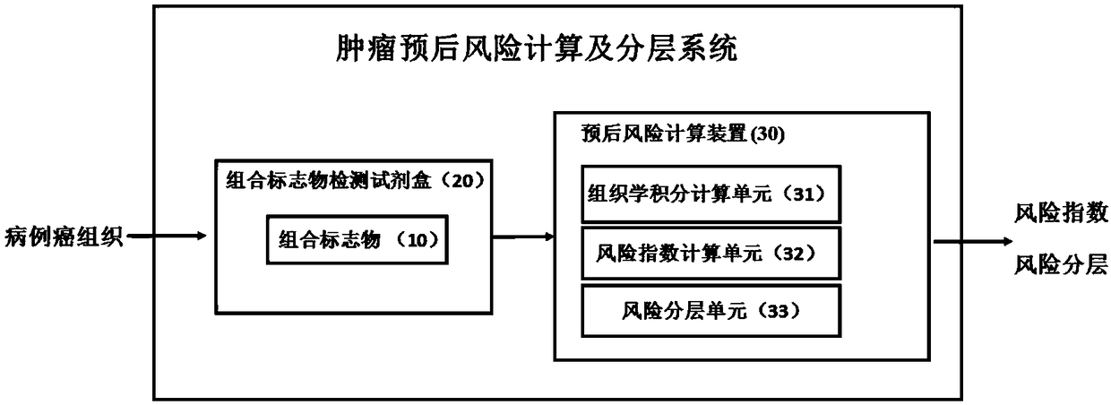 Application of combined marker in preparation of pancreatic cancer prognosis kit as well as determining system and method of combined marker