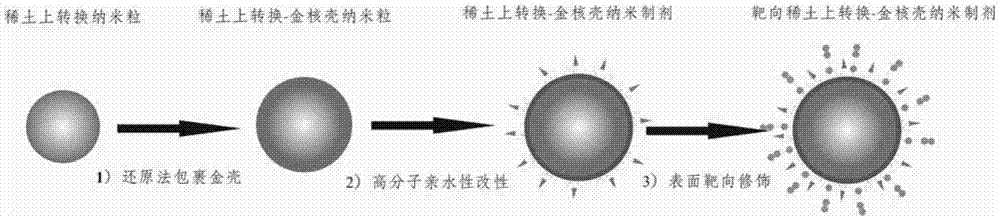 Preparation method of targeted rare earth upconversion Au-core nanoparticle