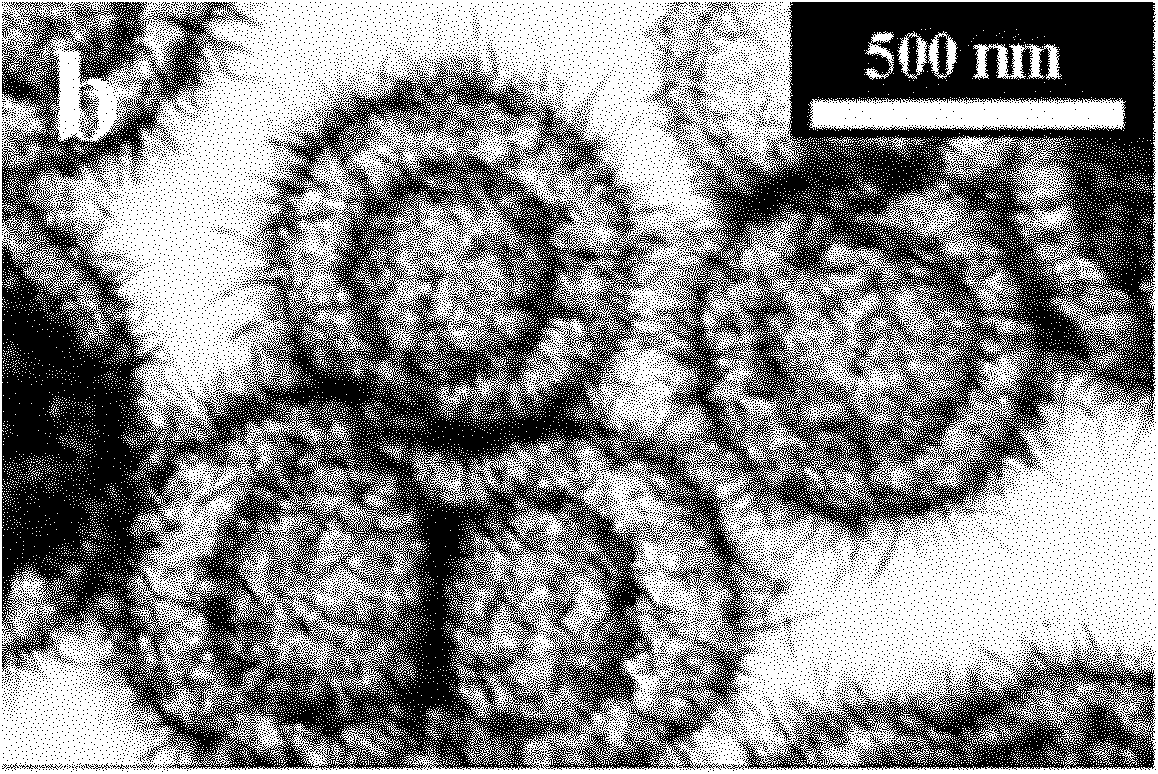 Preparation method of echinoid titanium dioxide microspheres in single/double layer cavity structure