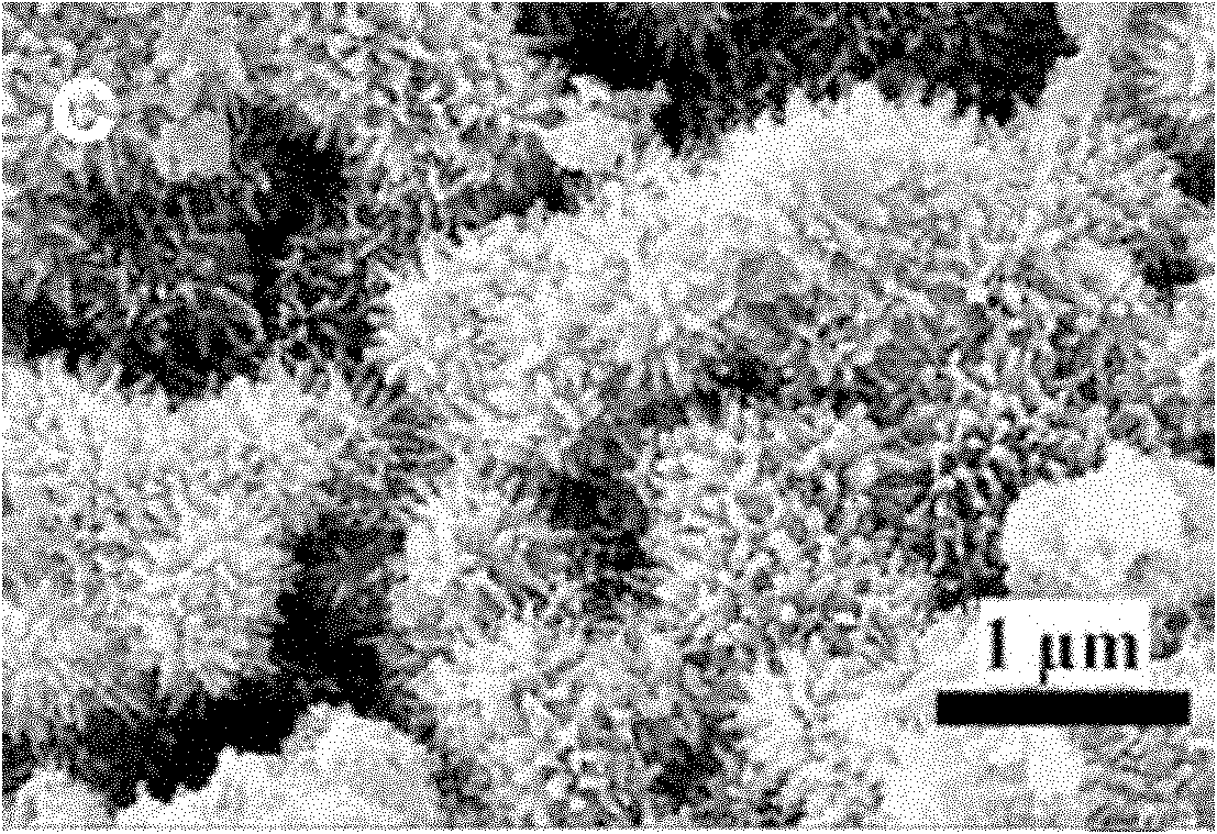 Preparation method of echinoid titanium dioxide microspheres in single/double layer cavity structure