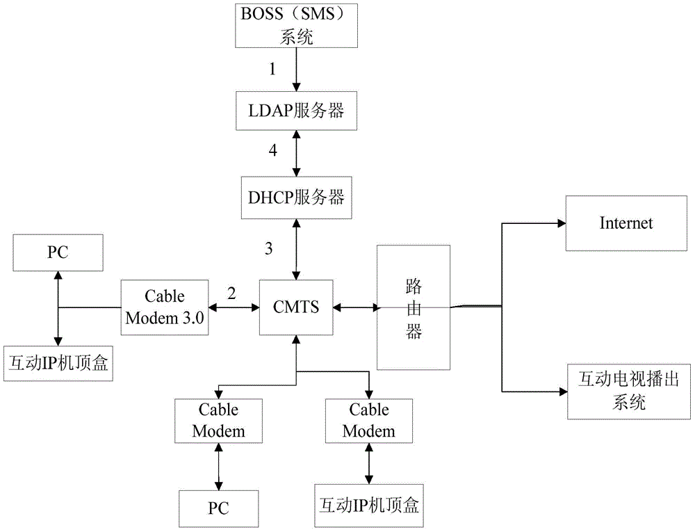 System capable of realizing Internet access service and interactive television service