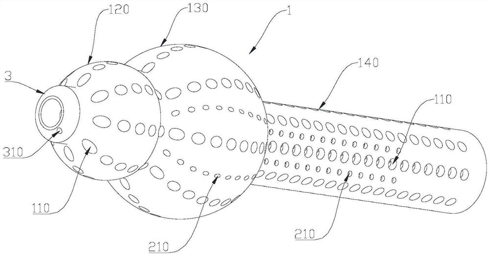 Nasal cavity support and nasal cavity irrigation system