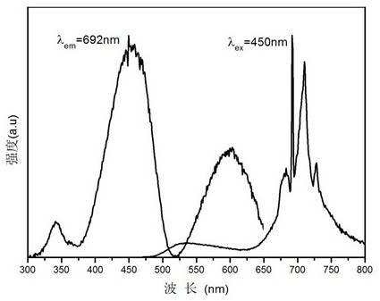 Light conversion film capable of promoting plant growth and preparation method thereof