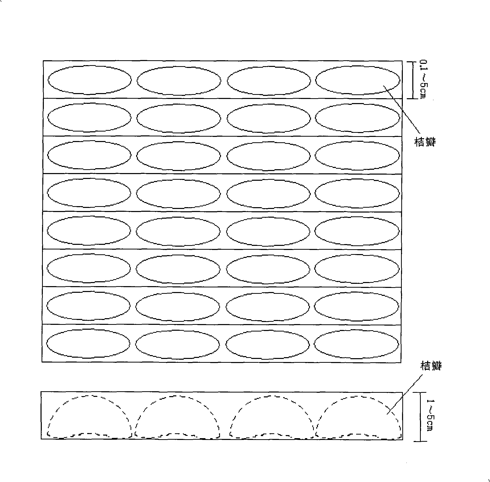 Method for corroding of citrus segment membrane orange carpel by two-stage enzyme method