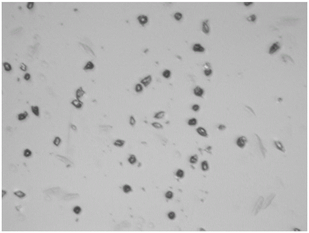 Abamectin microcapsule powder prepared from lignin-based wall material and method for preparing abamectin microcapsule powder by use of lignin-based wall material