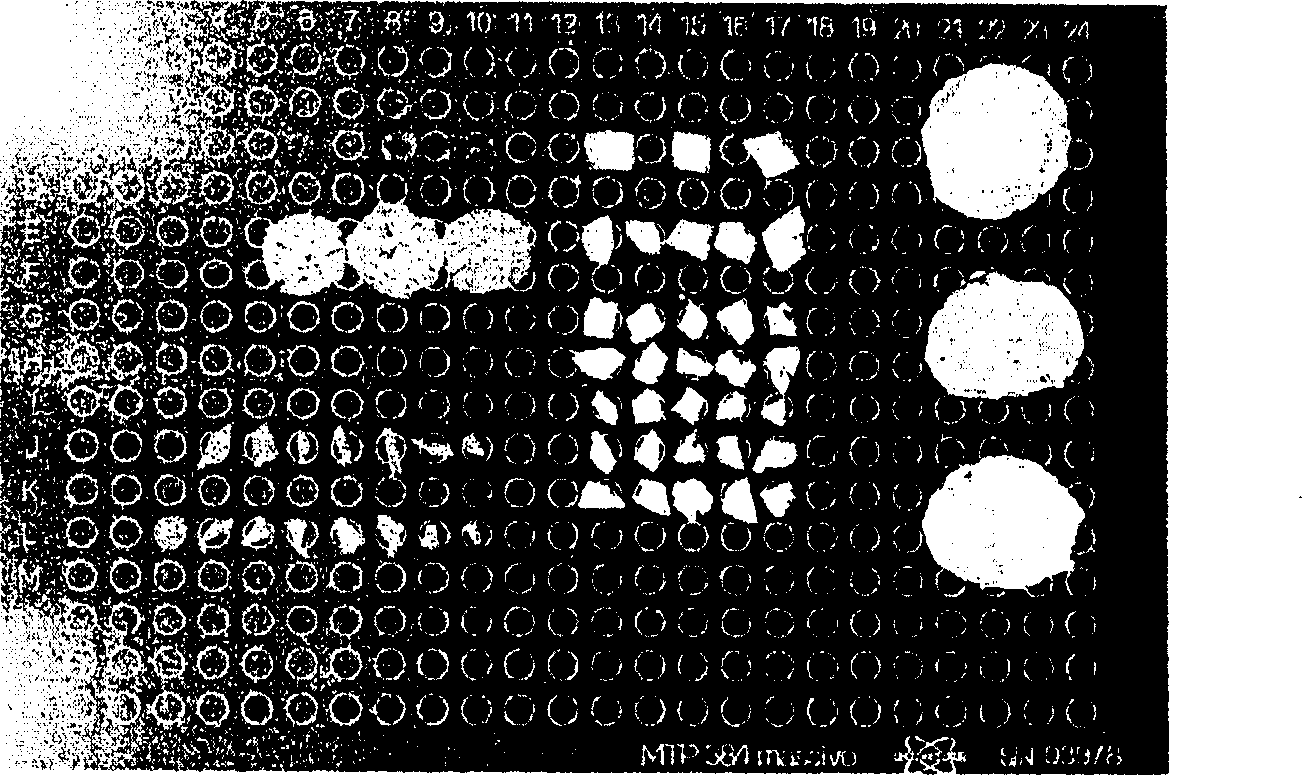 Method for directly analyzing chemical composition of plant tissue slice